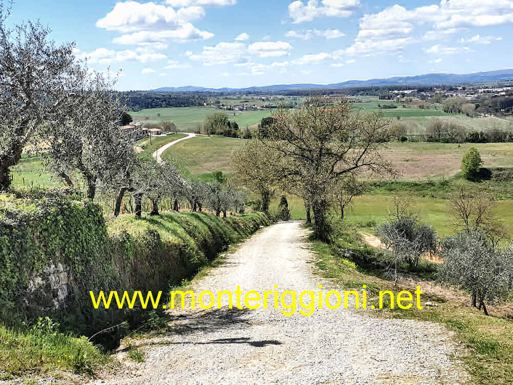 via Francigena tra Badia ad Isola e Monteriggioni