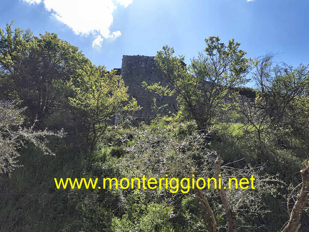 Torre 04